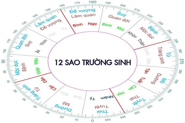 12 Vòng trường sinh trong lá số tử vi thể hiện điều gì?