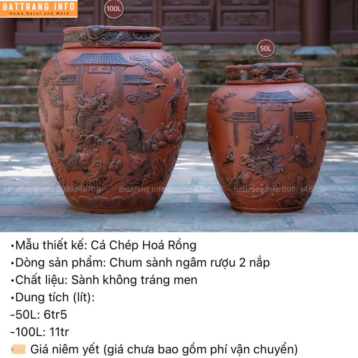 CHUM CÁ CHÉP HOÁ RỒNG 50 LÍT