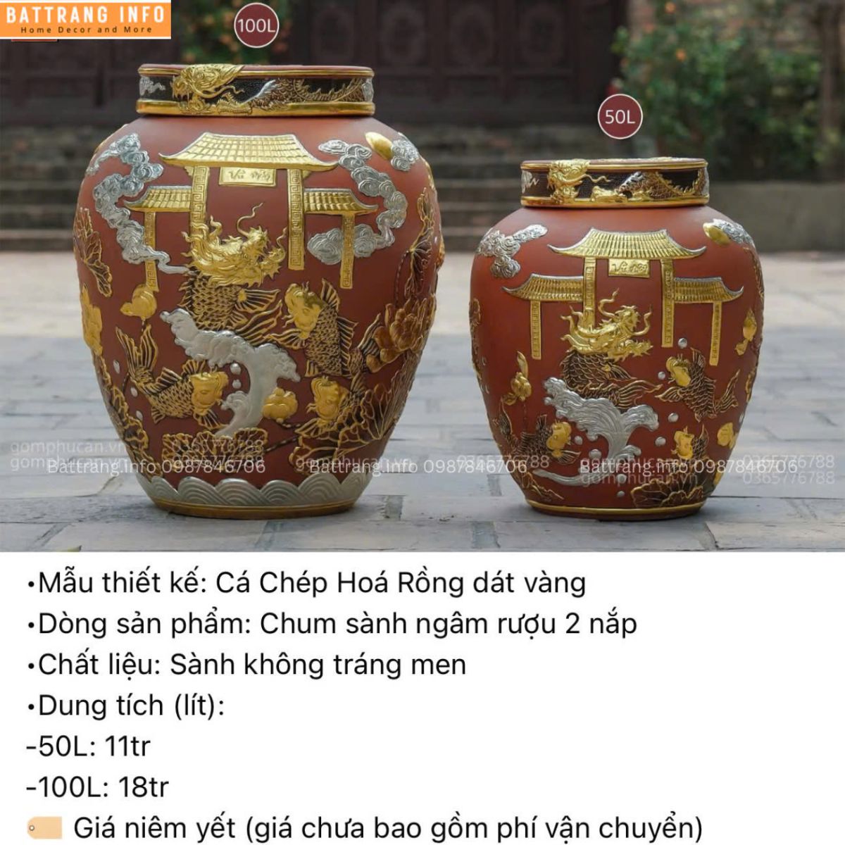 CHUM CÁ CHÉP HOÁ RỒNG DÁT VÀNG 50 LÍT