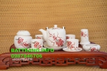 Bộ ấm chén dáng vại men sáo vẽ hoa đào đỏ cao cấp BátTràng + phụ kiện full s2